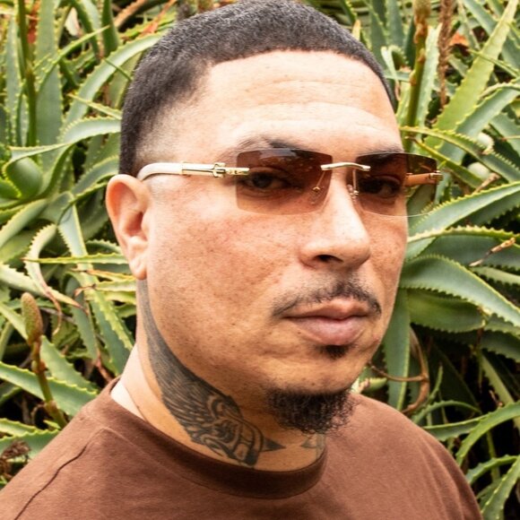 Hip Hop Gold Frame Brown Tint Rimless White Woodgrain Arm Buffs Sunglasses - Picture 3 of 7